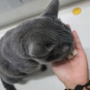 (주)그루비테이블 이미지