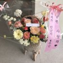 하늘타리꽃집
