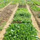 양수농장2 이미지