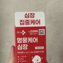 헬로펫 - 순천시 왕지4길 9-12 | 강아지 심장 영양제 추천 다이소에서 만난 헬로마이펫 심장케어 후기