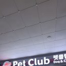 펫클럽강릉내곡점 이미지