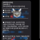 대인 | 택시승객 대인합의금 후기 및 주말택시교통사고, 지불보증 연장