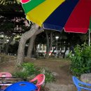 불야성조개구이 이미지