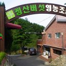 버섯마을 이미지