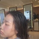 노원역(4호선) | 노원역 미용실 준오헤어 중단발 레이어드펌 후기