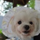 행복한 집밥 이미지