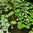 장태산자작나무펜션 이미지