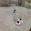 사리어린이집 네이버블로그