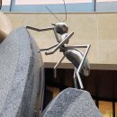 무릉도원-한 여름밤 이미지