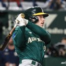 알렉스 카카오 검색결과