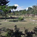 태안사 야영장 이미지