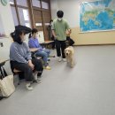 용안중학교 이미지