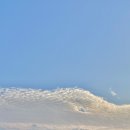 영환목장 이미지