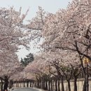 대릉원 화장실 이미지