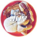 거안4길 | [홍대맛집/빵집] 홍대 빵나무 &#39;탕종빵/생활의달인빵집&#39; 홍대빵집