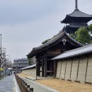도지식당 | 3월 일본 교토 여행 후기(14) - 도지(東寺) 오중탑