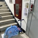 위에듀체육관 | 육아용품 당근: 아기체육관, 바운서, 스팀소독기, 바구니카시트, 타이니모빌