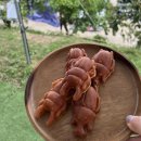 오세창곤충체험농장 이미지