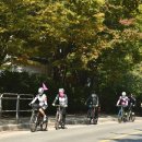 정모 카카오 검색결과