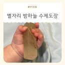 캘리그라피 수제도장 | 별자리 밤하늘 수제도장! 세상에 하나뿐인 수제도장 후기
