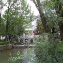 스님+며느리+강아지 이미지