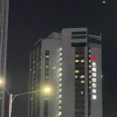 백남관광(주) 서울프레지던트호텔 | [서울-숙소] 을지로 프레지던트(President) 호텔 후기