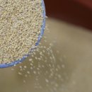 아빠 벌꿀 농장 이미지