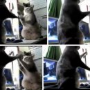 푸른하늘은하수 이미지