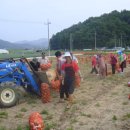 월남농장 이미지