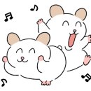 서정카라반펜션 이미지