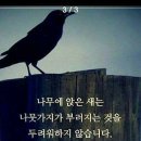 무제 이미지