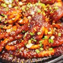 바보낙지 이미지