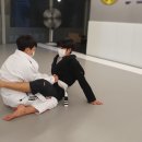 대청주짓수