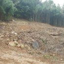 큰산공인중개사사무소 이미지