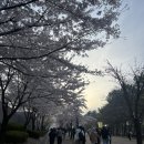 29170-4-A-11 | 박효신 콘서트 2026 A+E 4/11 막공 후기