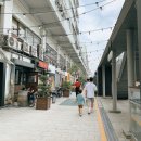 (주)영락원 | 포포인츠 바이 쉐라톤 조선, 서울 명동 / 을지로 여행하기 아이랑 2박 3일