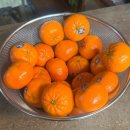 토이팡팡 멀티뽑기방 | 일기] 2026년 4월 둘째주 : 나의 마지막 20대 생일🎂, 릴스절망편, 한달 자취방 계약, 벚꽃뽕뽑기, 소개팅