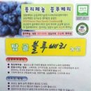 탑골농장 네이버블로그