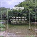 하늘채 펜션 | 강원도 홍천 내린천 계곡 독채펜션 을수골하늘채 방문 후기