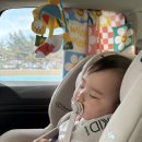 숲속마을 김밥천국 | 잊지못할 우리의 첫 바다, 아기랑 2박 3일 따뜻했던 강릉.