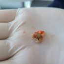 굿닥터신치과의원 이미지