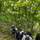 위드유메디 이미지