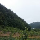 동철농장 이미지