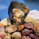 와르르 조개구이 영등점 이미지