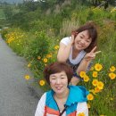 밀양댐생태공원 이미지