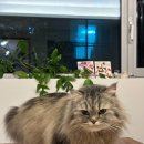 희망의 둥지 | 이삿짐 푸는 둥지 1월 일기2