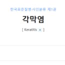 H1618 네이버블로그