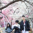 매화태권도장 이미지