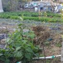 범서공인중개사사무소 이미지