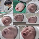 포유문 산부인과 제왕절개 출산후기 (1) 1일차